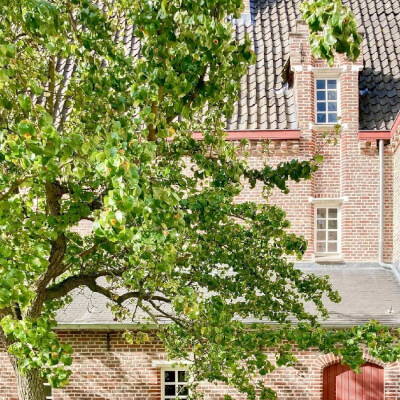 Belis, Matthea Matthea Belis